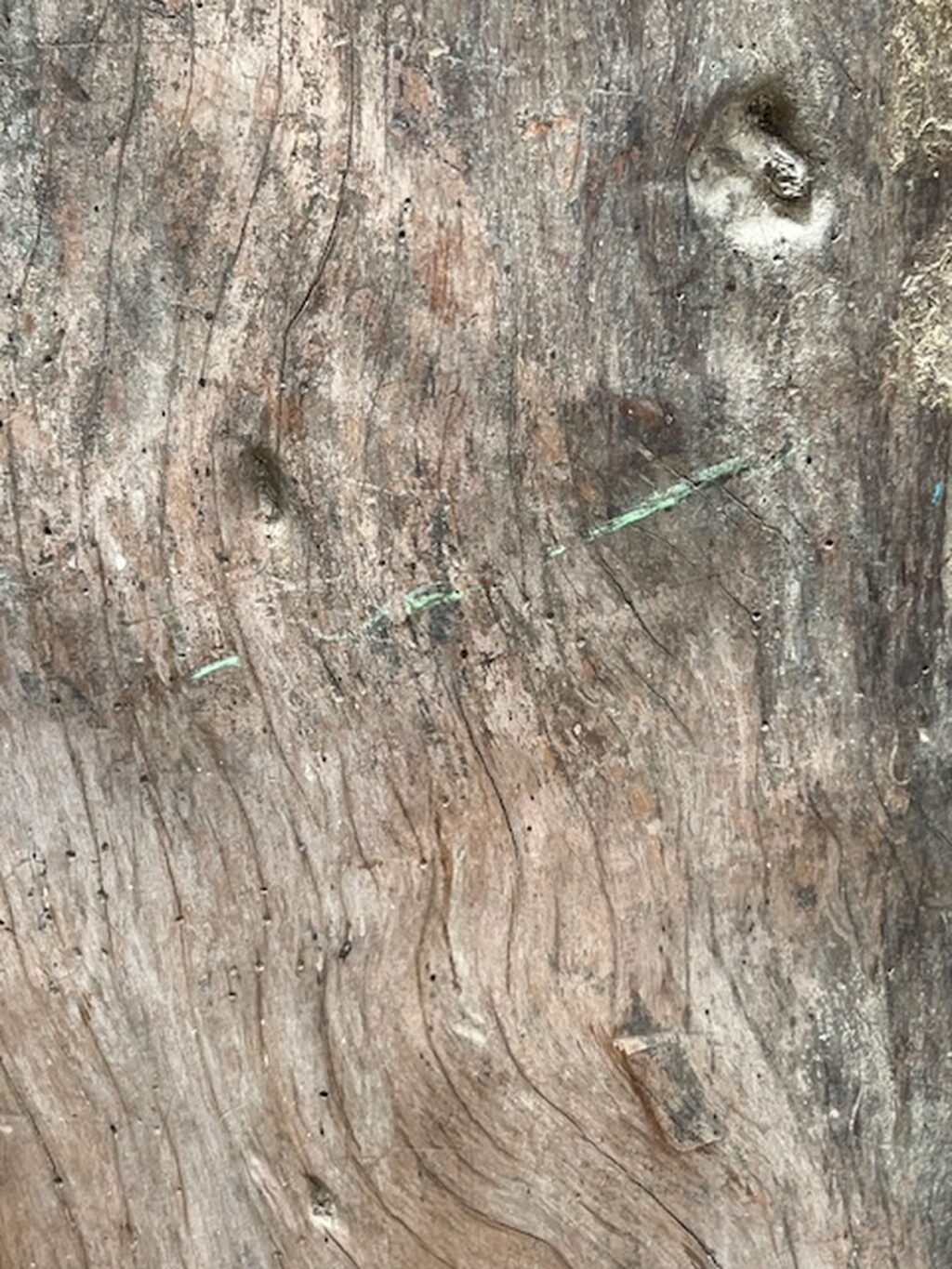 Handgefertigter antiker ausgehöhlter Baumstamm, Wabi Sabi, A 854 – Bild 9