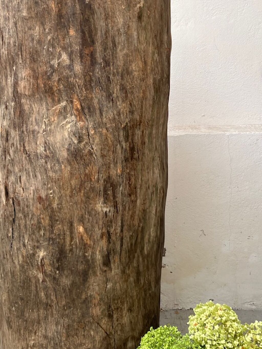 Handgefertigter antiker ausgehöhlter Baumstamm, Wabi Sabi, A 854 – Bild 8
