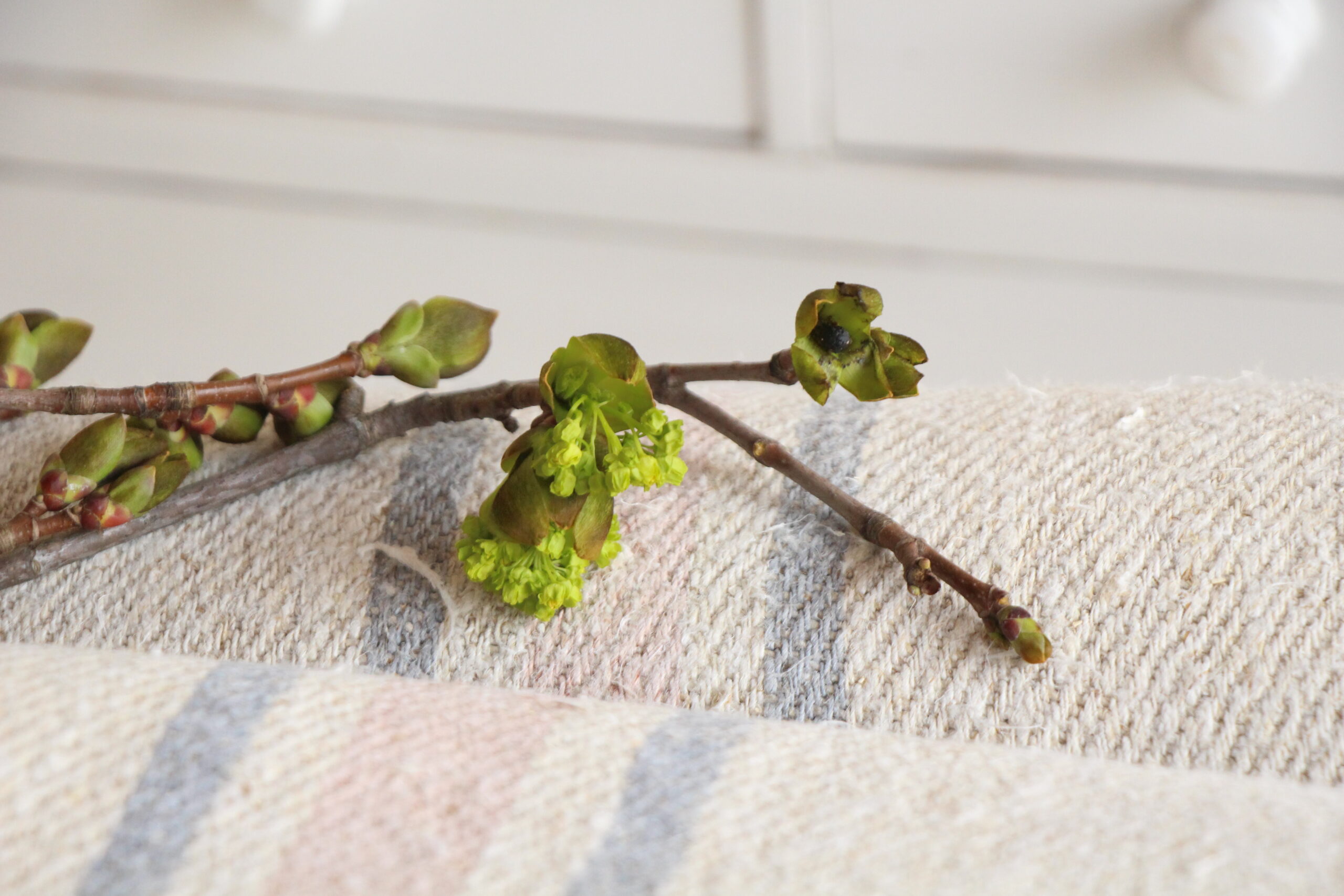 antique linen fabric, 23.62y, bulk offer, farmhouse decor, upholstery fabric, wabi sabi, Z 176 - Image 4