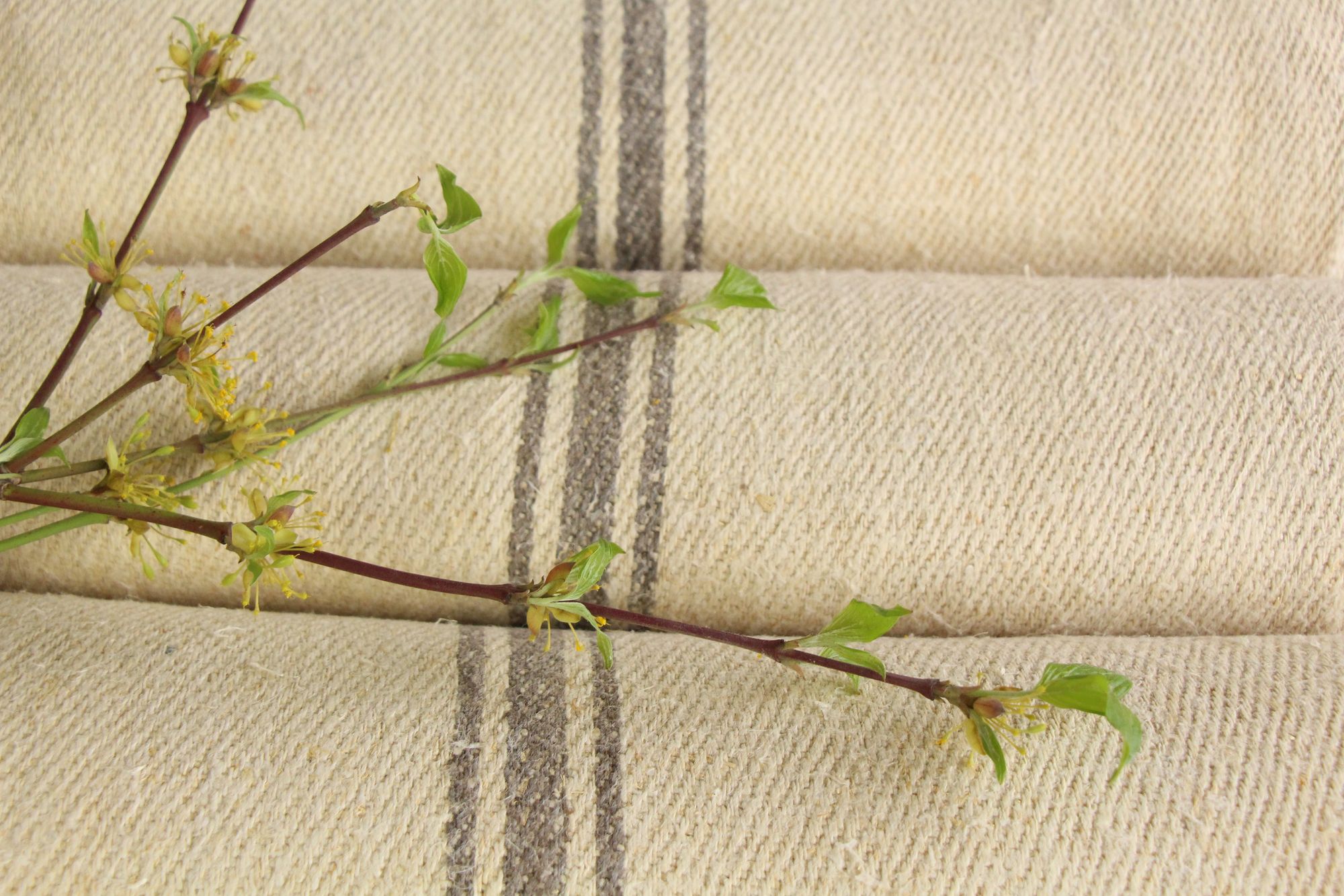 antiker Leinenstoff 24,2 m, Großangebot, Polsterstoff, wabi sabi, Z 175 – Bild 8