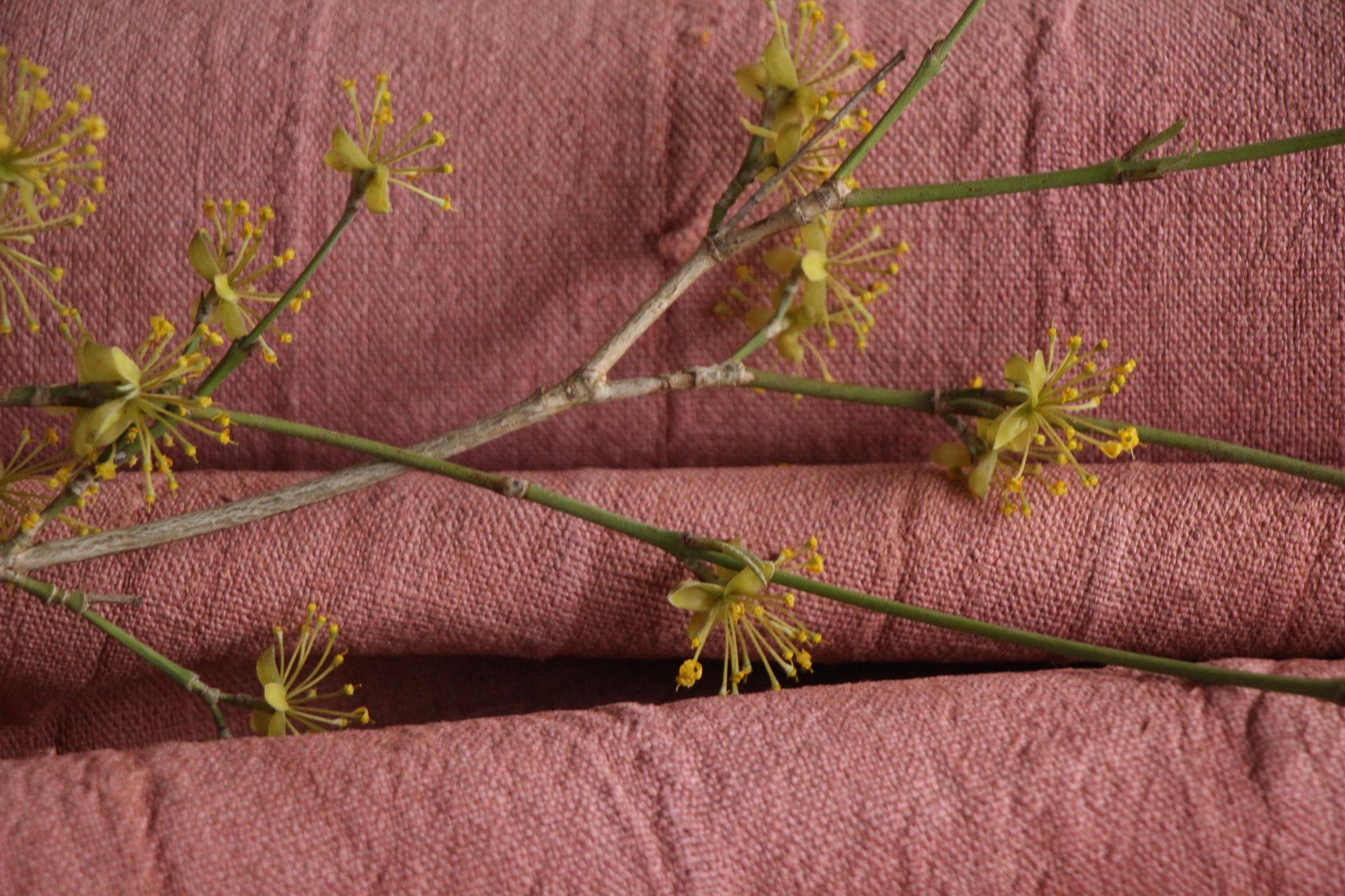 dyed antique linen fabric, 6.78y, french linen, upholstery fabric, Z 187 - Image 5