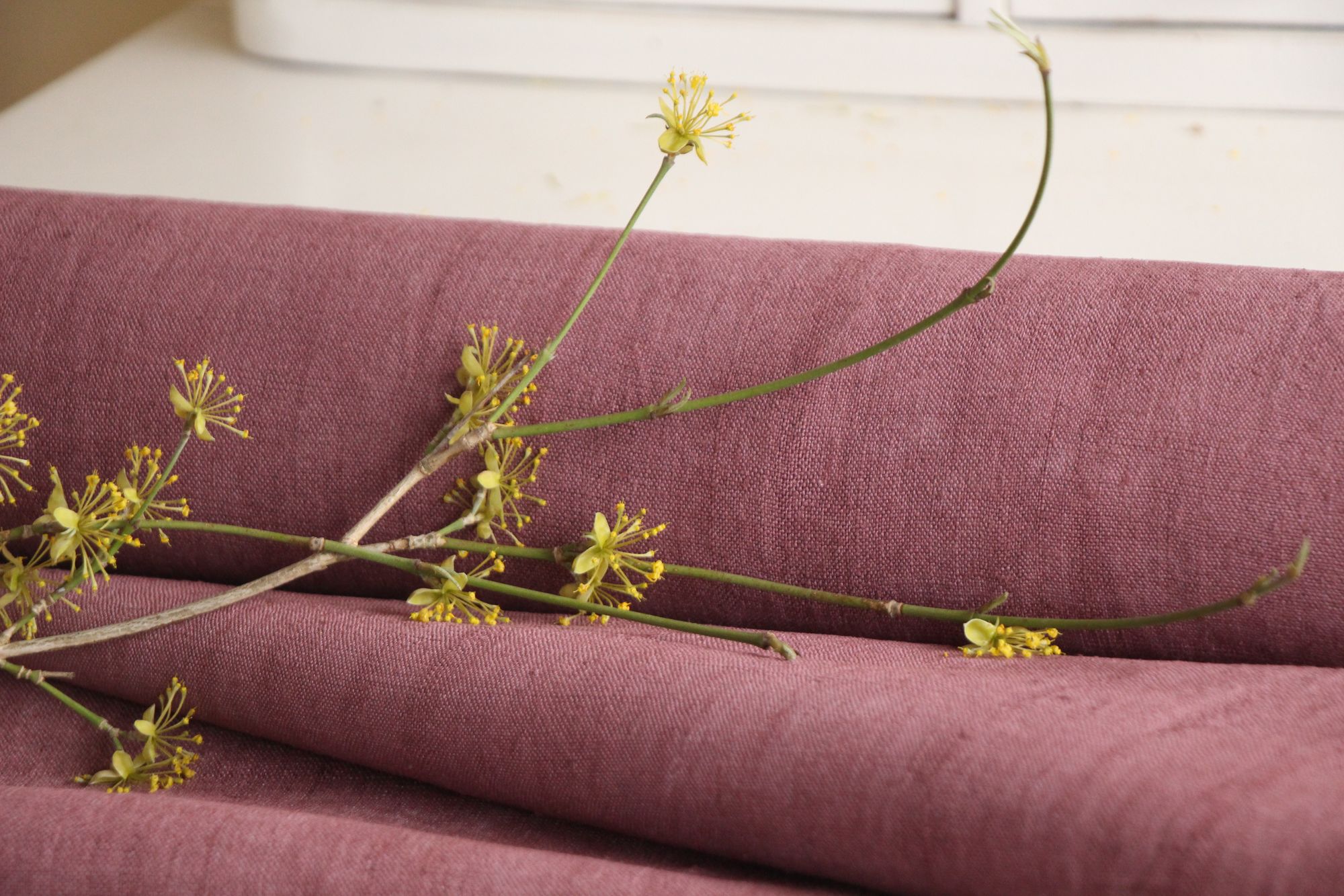 gefärbte antike Leinenstoffe, 11,51 m, französisches Leinen, Möbelstoff, Z 188 – Bild 7