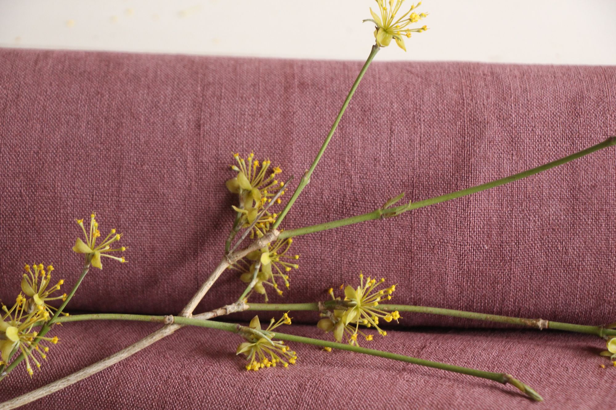 gefärbte antike Leinenstoffe, 11,51 m, französisches Leinen, Möbelstoff, Z 188 – Bild 4