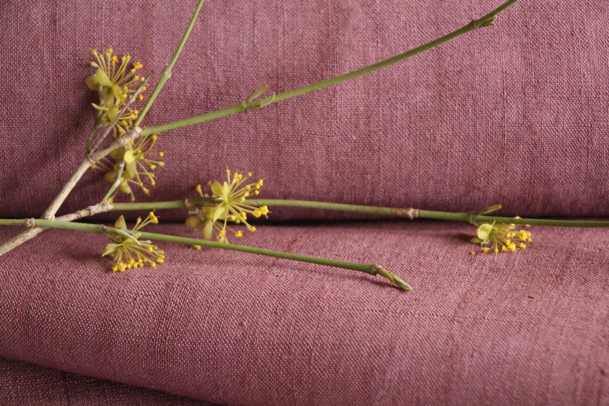 gefärbte antike Leinenstoffe, 11,51 m, französisches Leinen, Möbelstoff, Z 188 – Bild 3