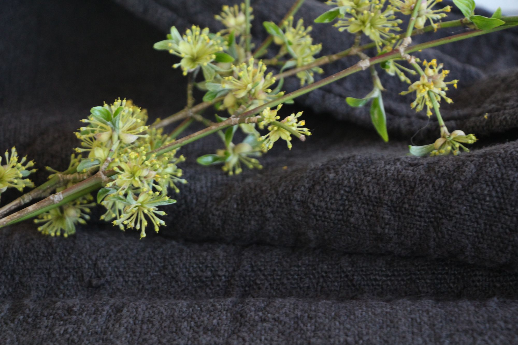 antique linen grainsack, rustical, pillow fabric, durable, colored charcoal, Wabi Sabi, L859 - Image 5