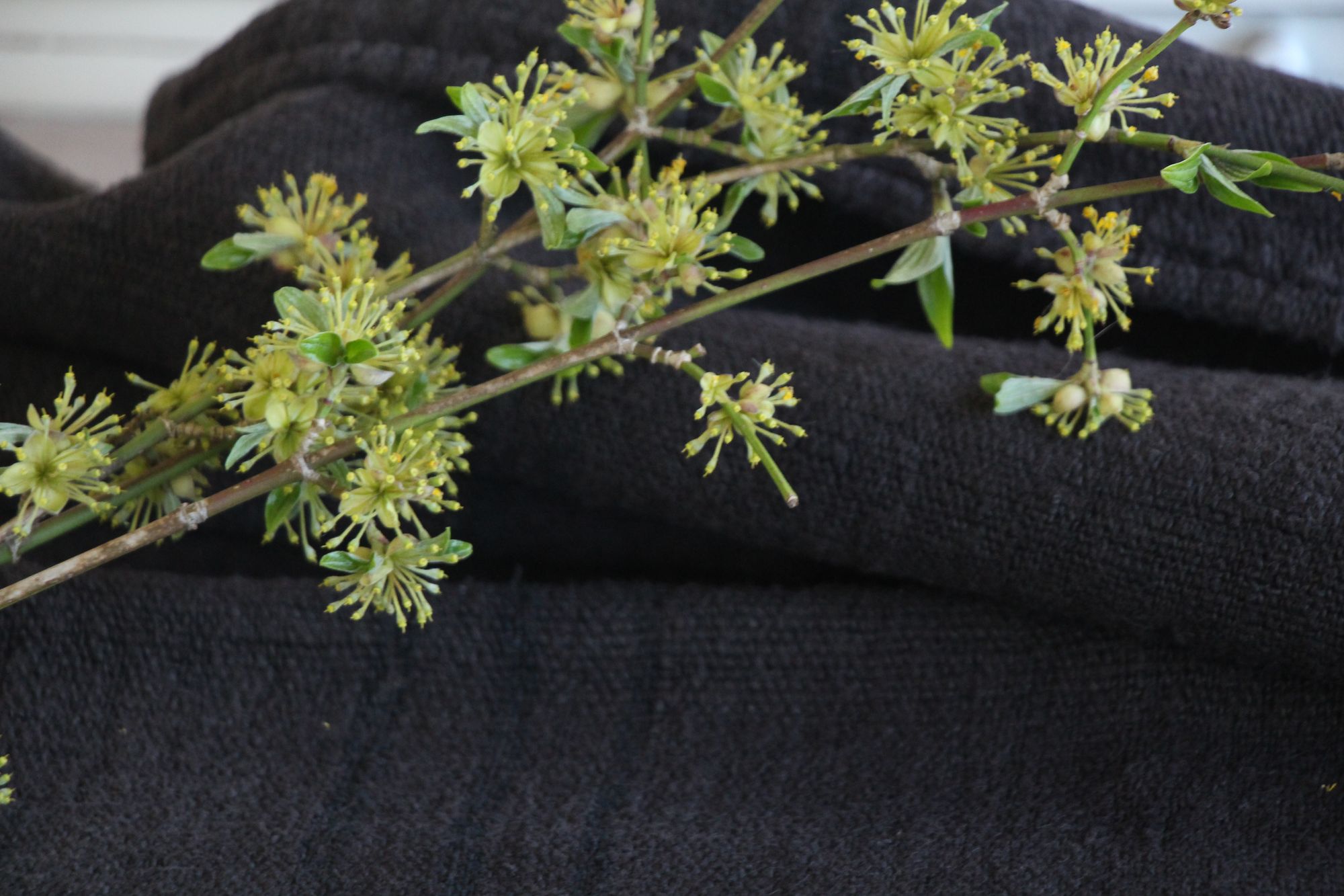 antiker Getreidesack aus Leinen, rustikal, Polsterleinen, langlebig, L 858 – Bild 3