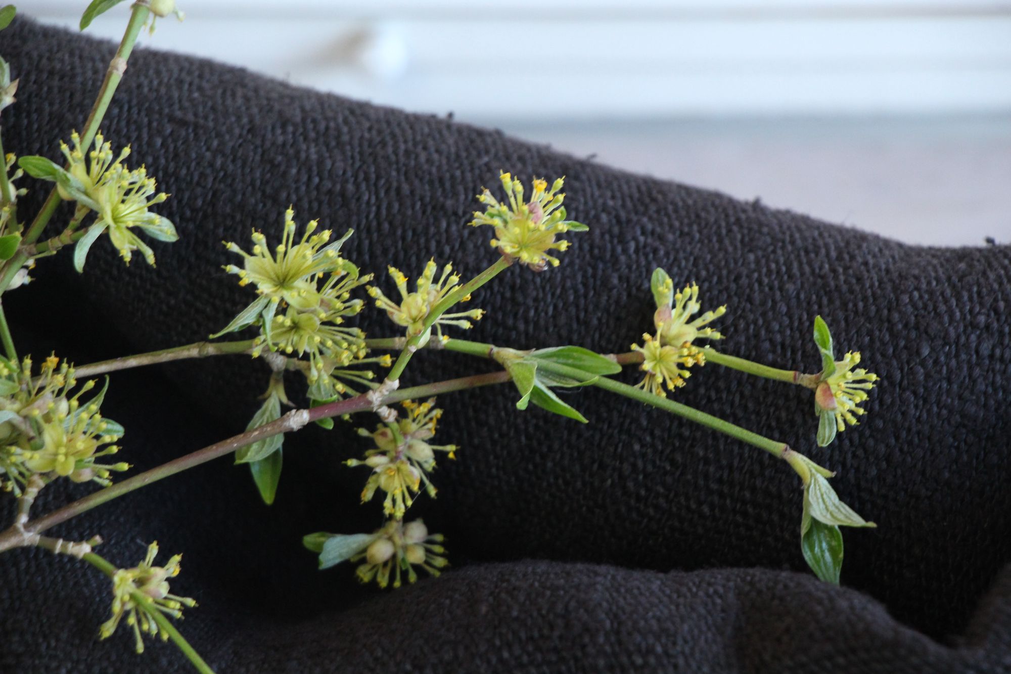 antiker Getreidesack aus Leinen, rustikal, Polsterleinen, langlebig, L 857 – Bild 10