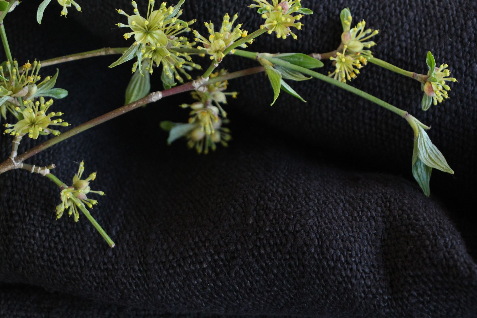 antiker Getreidesack aus Leinen, rustikal, Polsterleinen, langlebig, L 857 – Bild 6